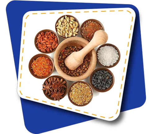 Spices Category Icon
