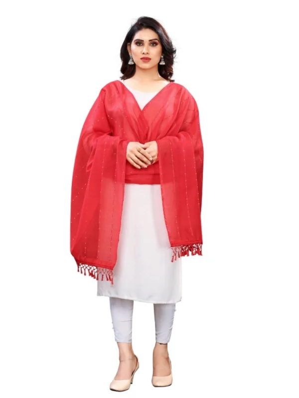 Women's Cotton Silk Strips Printed Dupatta (Red, Length:2-2.4 mtr)
