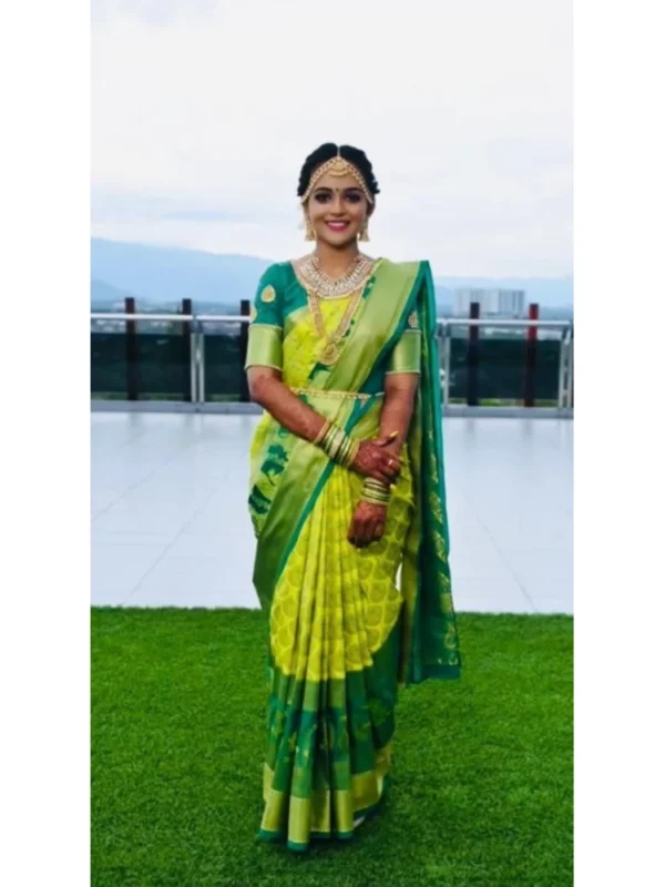 Women's Litchi silk Printed Saree With Unstitched Blouse (Light Green)