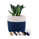 Cotton Flower Pot With Out Lid (White-Blue)